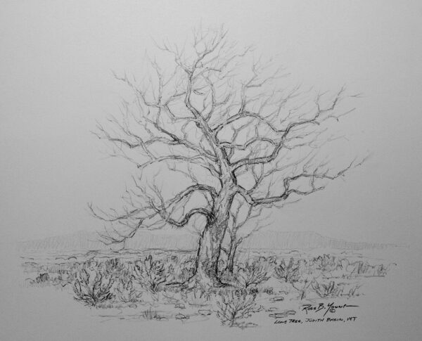 Lone Tree - Judith Basin, MT