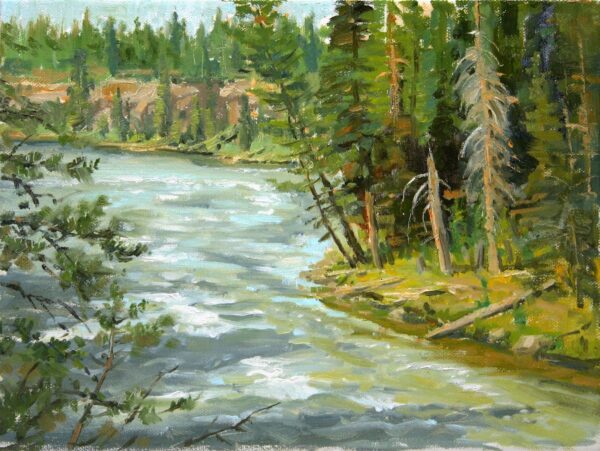 Looking Into The Box, Henry's Fork, Idaho - Plein Air
