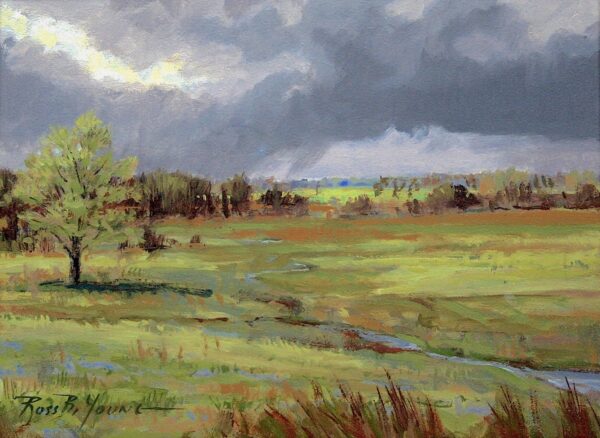 Spring Rains